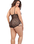 Kitten Ariane Lace Hot Teddy