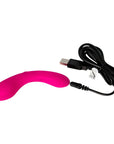 Mini Swan Wand Massagers