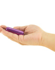 Mini Powerbullet