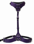 Punishment Silver Hardware Chest Harness