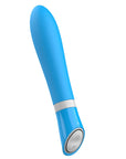 Bgood Deluxe Vibrator
