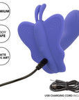 Connect Venus Butterfly