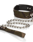 COLT Collar & Leash