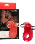 Jesses Raging Bull