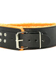 Orange Is The New Black Short Leash