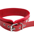 Rouge Garments PVC Collars