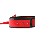 Sex & Mischief Red Leash & Collar