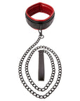 Saffron Leash & Collar