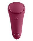 Sexy Secret Panty Vibrator