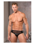 Allure Mesh Panel Briefs