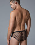 Luca Star Brief