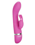 Foreplay Frenzy Bunny