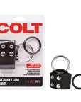 Colt Scrotum Set