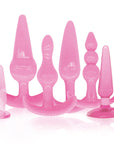 TryCurious Six Piece Starter Anal Kit