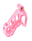 Kink Chastity Series Original Locking Cock Cage