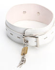 Lockable Collar - Packed In Sealed Foil Bags
