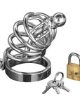Asylum Locking Chastity Cage