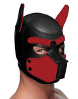 Spike Neoprene Puppy Hood