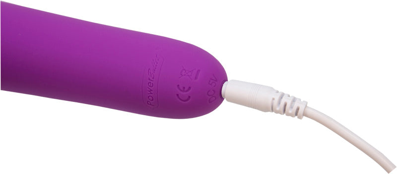 DESTINY Rechargeable Wand Massager