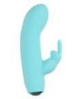 Alices Bunny