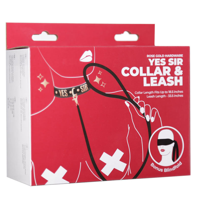 Punishment Rose Gold Yes Sir Collar &amp; Leash