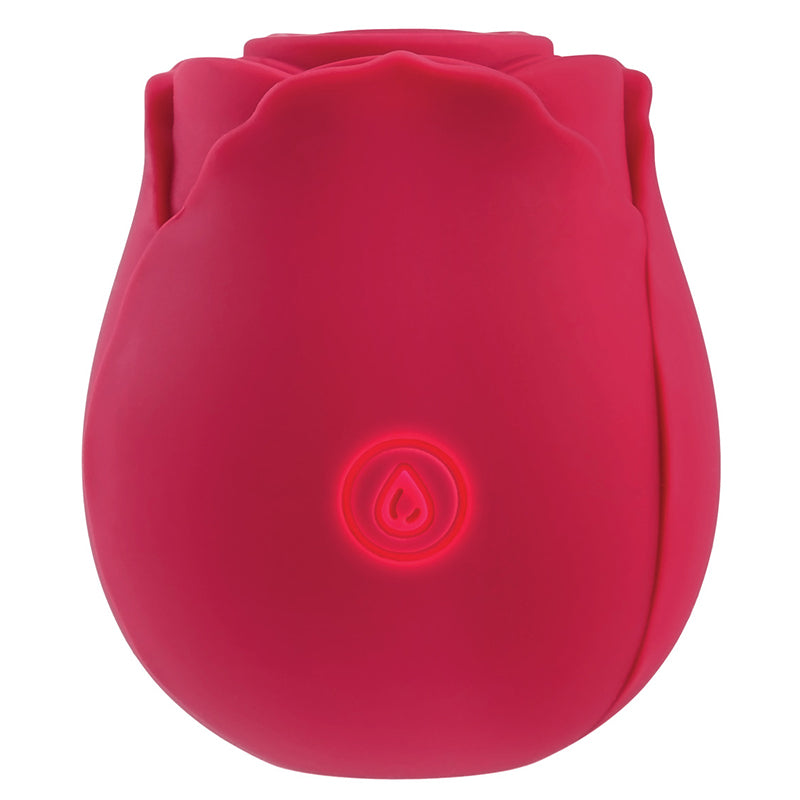 Sca Device Roses Shop Sweetdreams Rose – Suction Stimulator - Love Shop