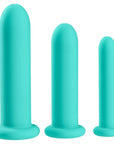 Cloud 9 Novelties Health & Wellness Silicone Anal and Vaginal Dilator Kit