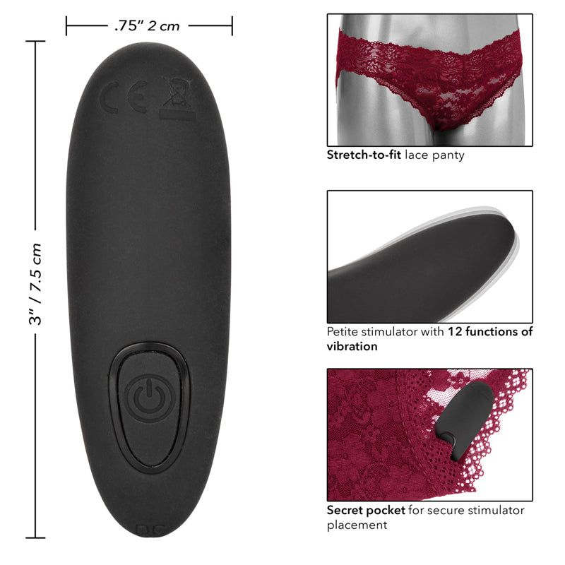 Remote Control Lace Panty Set