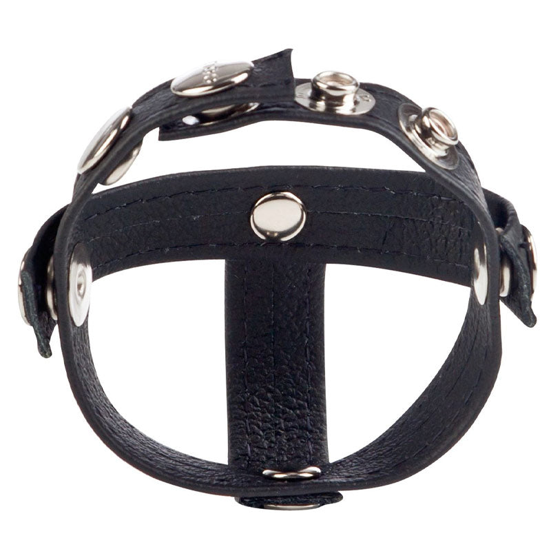 Colt Leather H Piece Divider