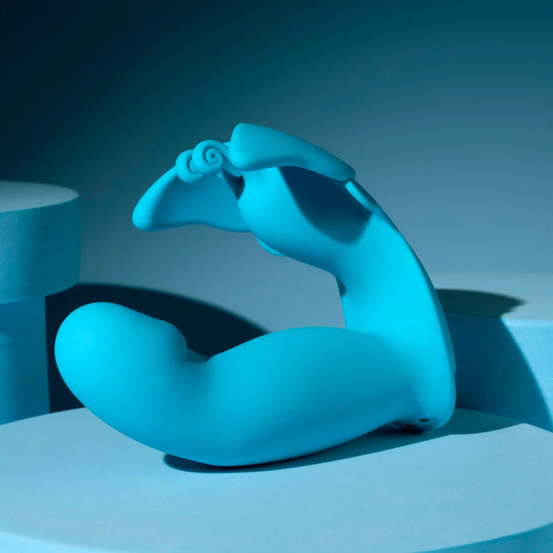 Evolved Novelties Spread Your Wings