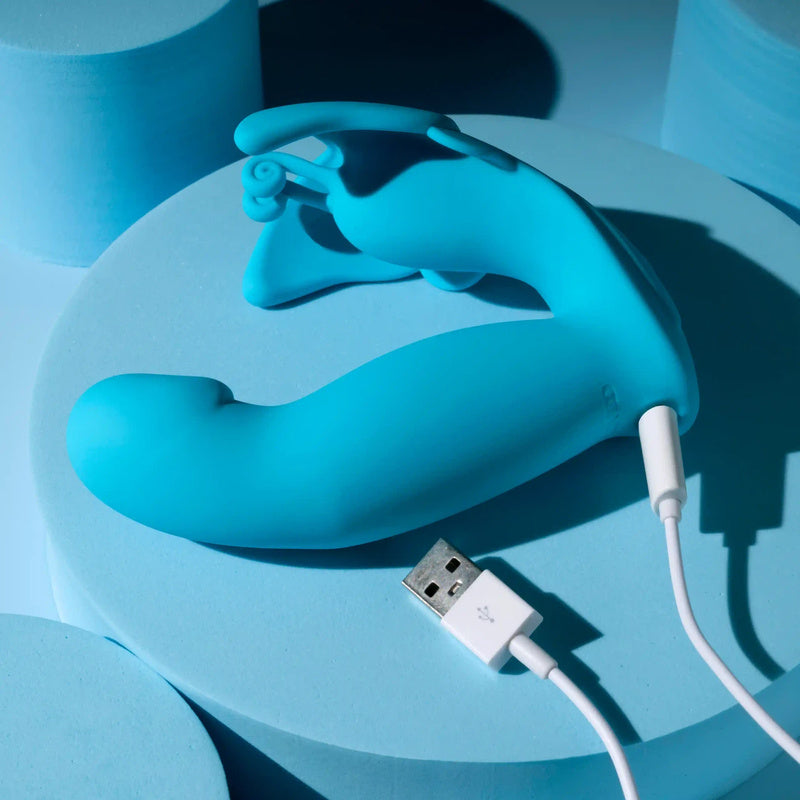 Evolved Novelties Spread Your Wings