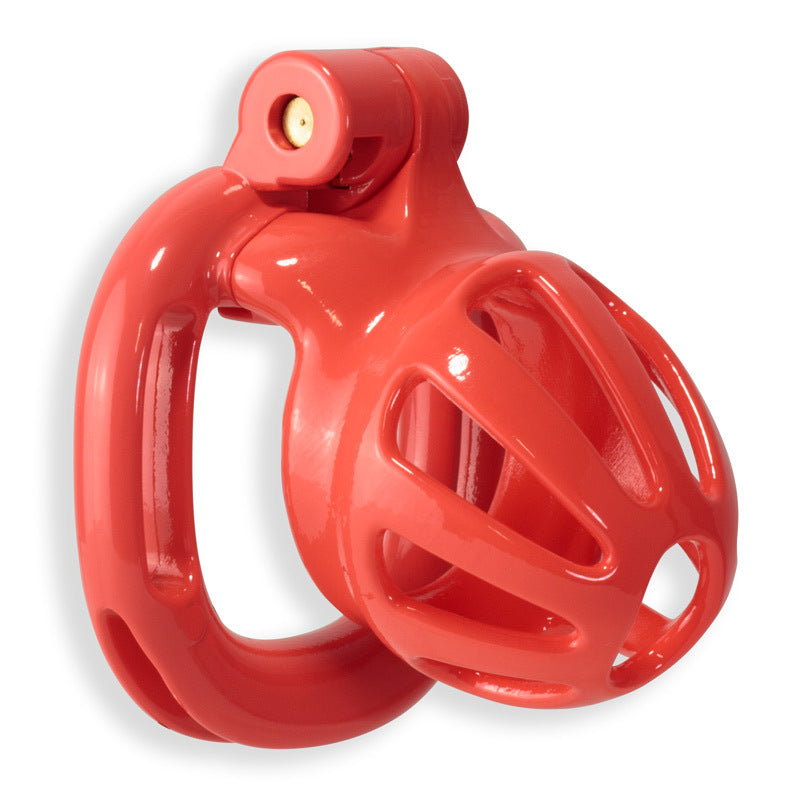 Kink Chastity Series Convict Cock Cage