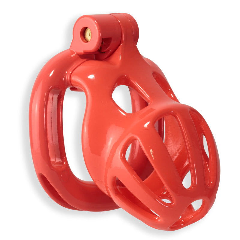 Kink Chastity Series Convict Cock Cage