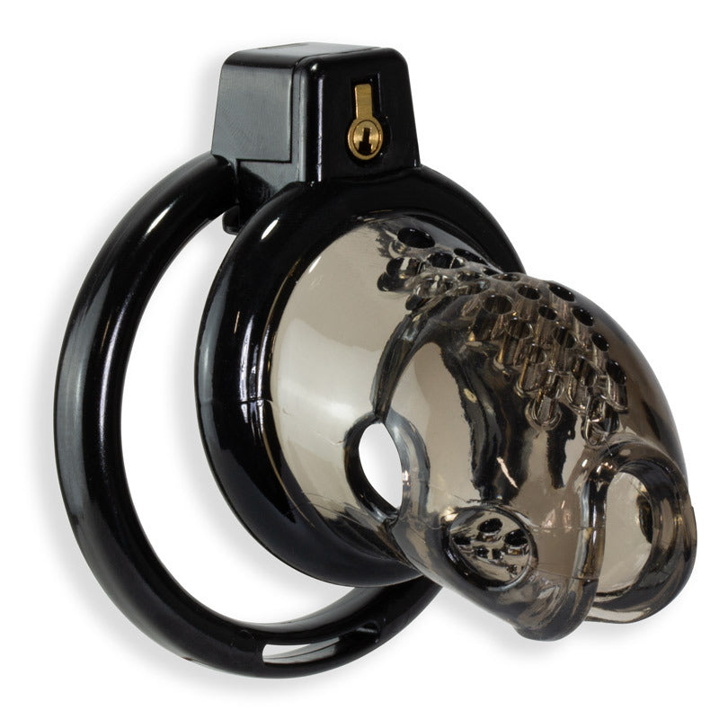 Kink Chastity Series Asylum Cock Cage