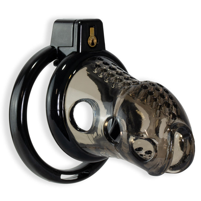 Kink Chastity Series Asylum Cock Cage