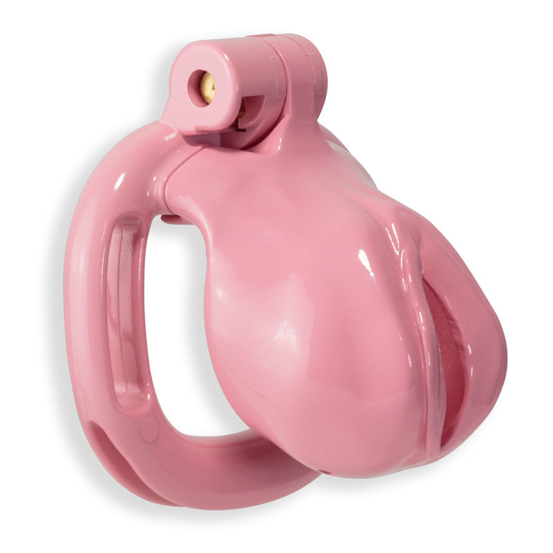 Kink Chastity Series Pansy Cock Cage