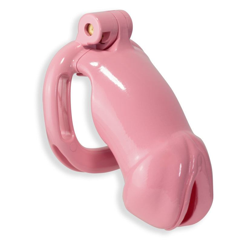 Kink Chastity Series Pansy Cock Cage