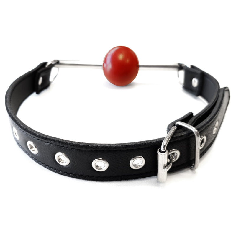 Rouge Garments Leather Ball Gag with Removeable Ball