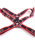 Rouge Garments Leather Deviant Harness