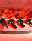 Selopa Intro To Plugs 4 Piece Kit