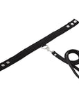 SportSheet Leather Leash & Collar