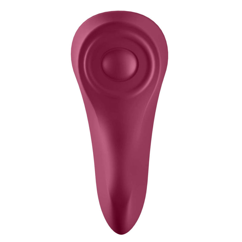 Sexy Secret Panty Vibrator