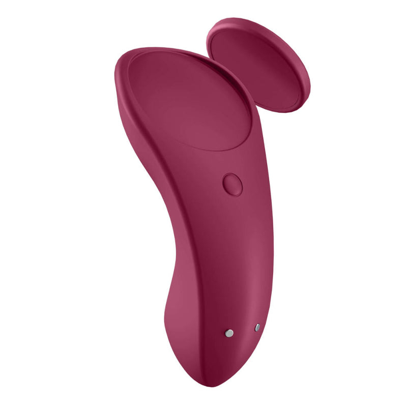 Sexy Secret Panty Vibrator