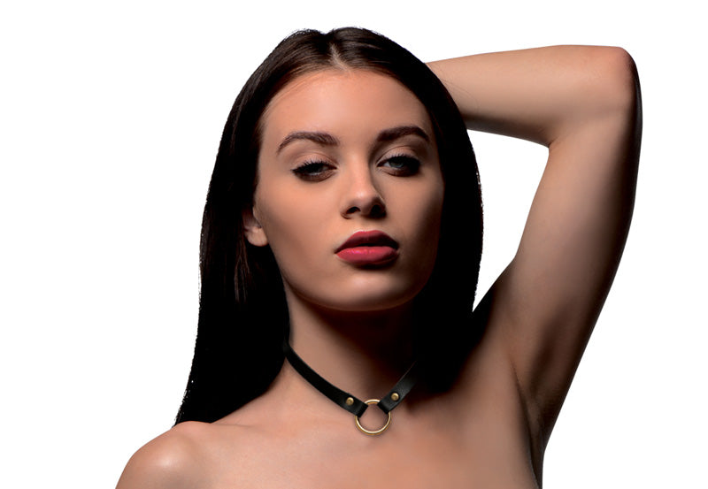 Posh Pet Gold Ring Slim Choker