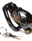 Double Lockdown Locking Customizable Chastity Cage