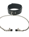 Coveted Collar And Clamp Union