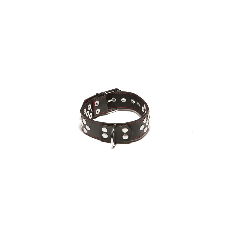X Play Collar With D Ring