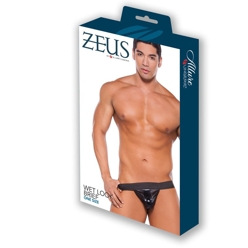 Zeus Wet Look Brief With Pouch Front