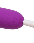 Wonderlust - Destiny Rechargeable Wand