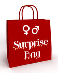 Male & Female Christmas Surprise Bag